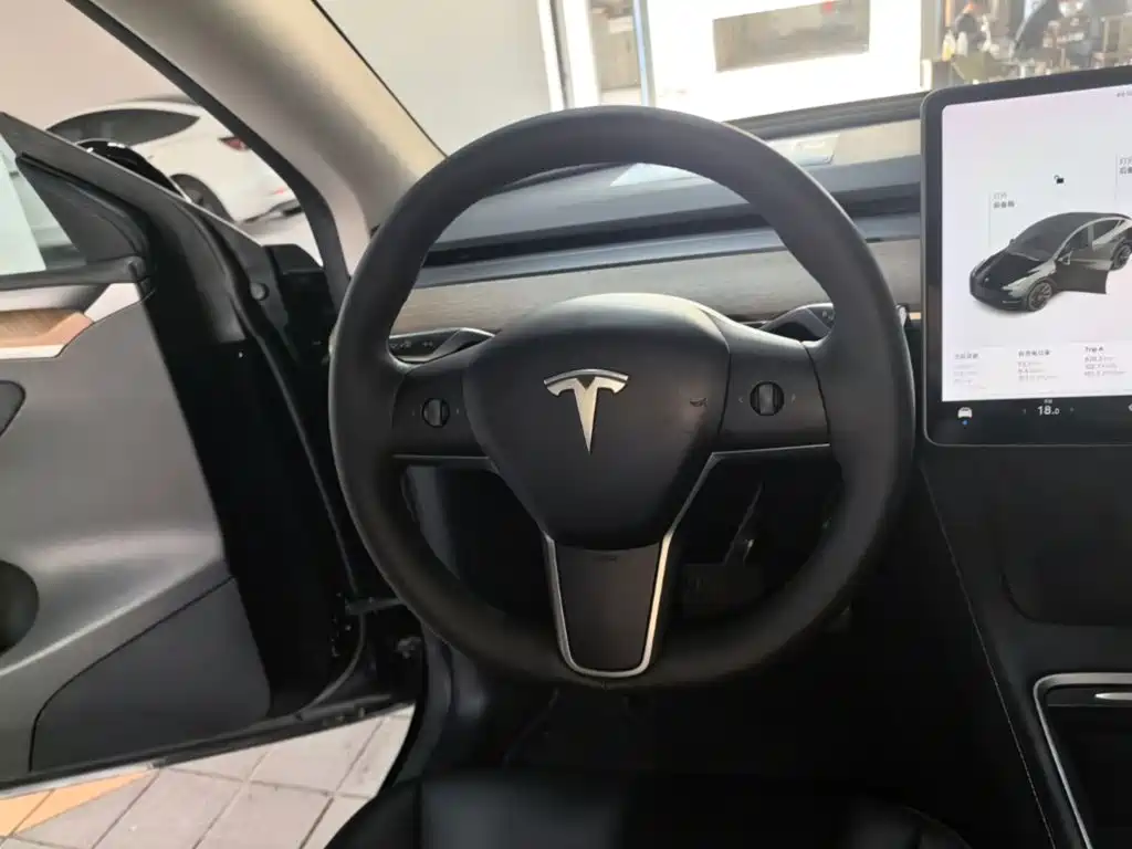 Tesla Model Y — миниатюра 11