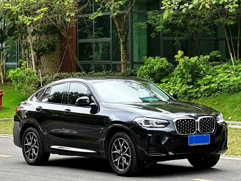 BMW X4 2022 xDrive 25i M Sport