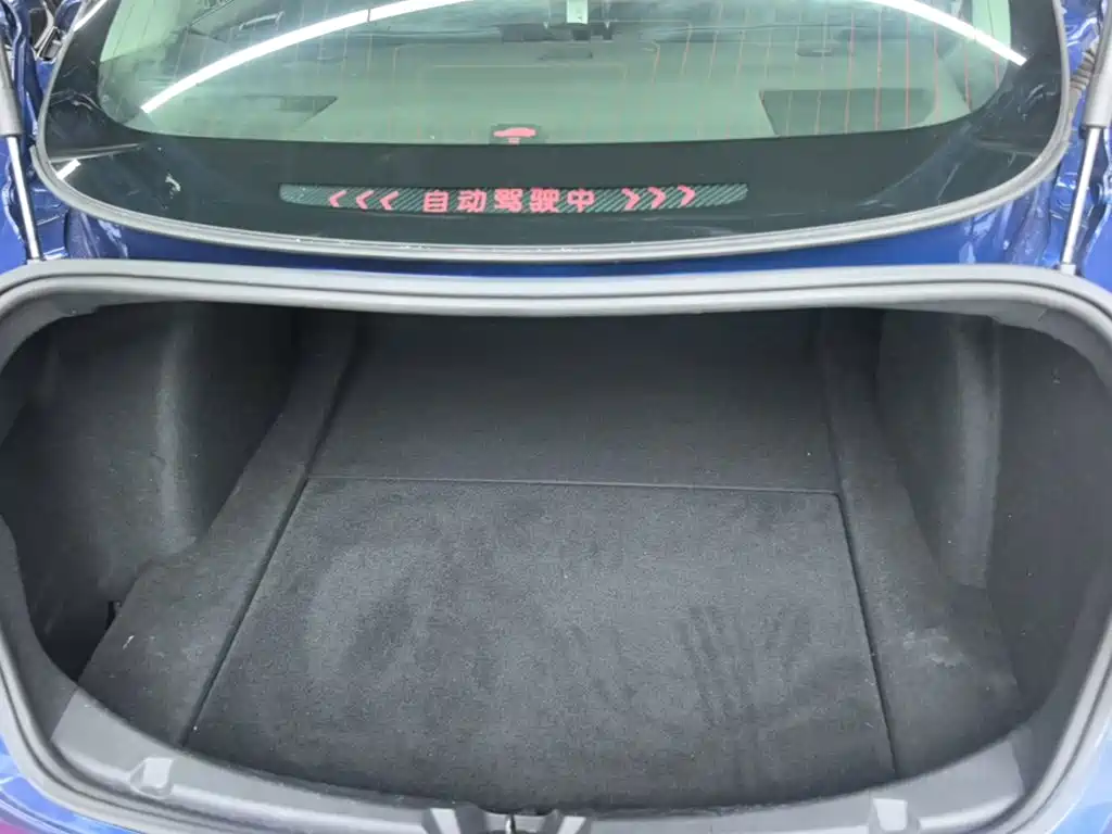 Tesla Model 3 — миниатюра 19