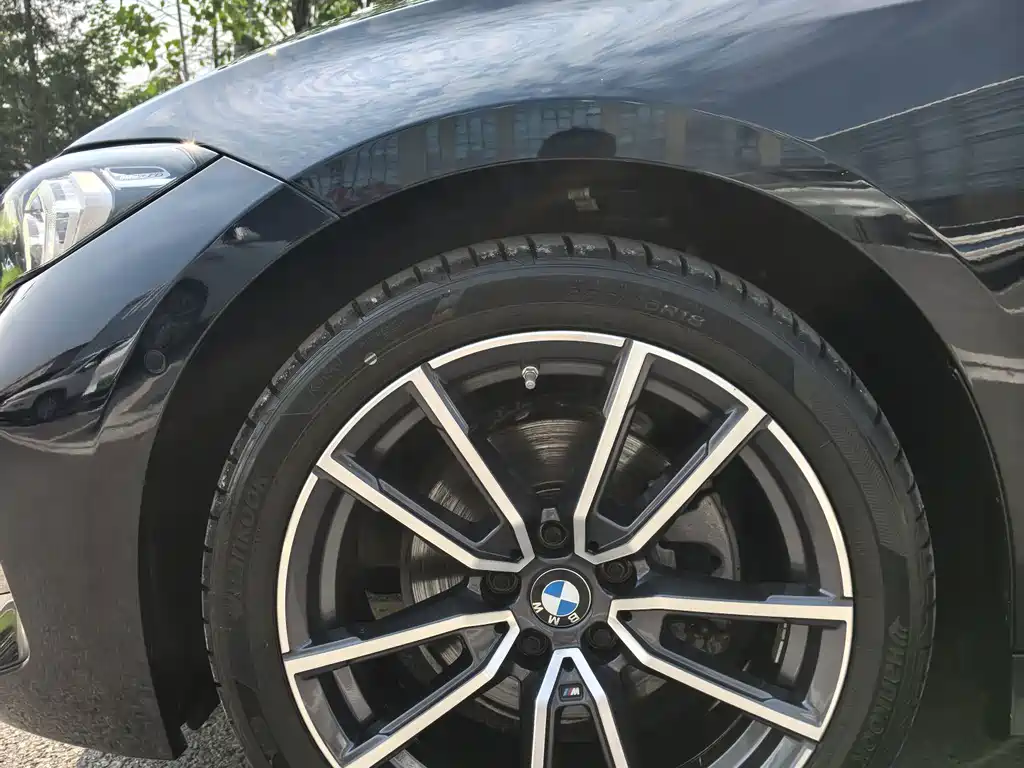 BMW 3 Series — миниатюра 5