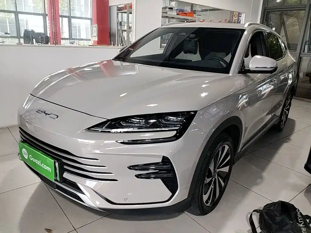 BYD PLUS New Energy — миниатюра 2
