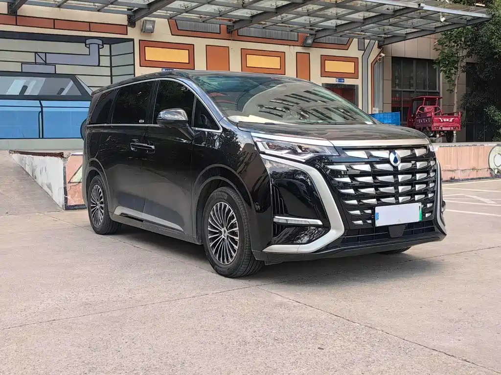 Denza Denza D9 — миниатюра 3