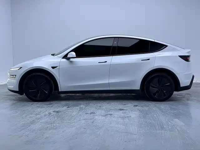 Tesla Model Y — миниатюра 11