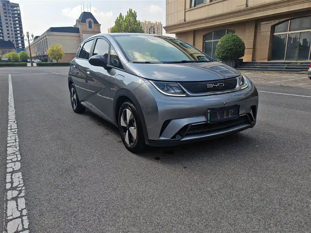 BYD Dolphin — миниатюра 6