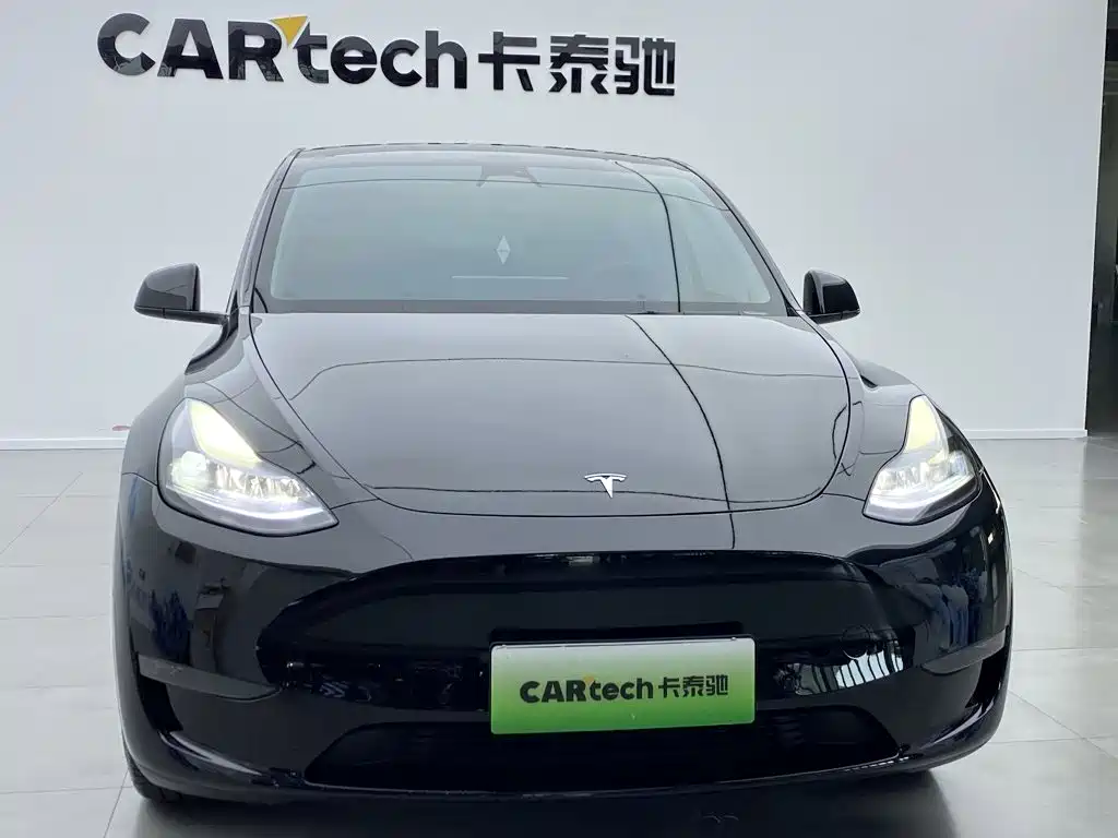 Tesla Model Y — миниатюра 10