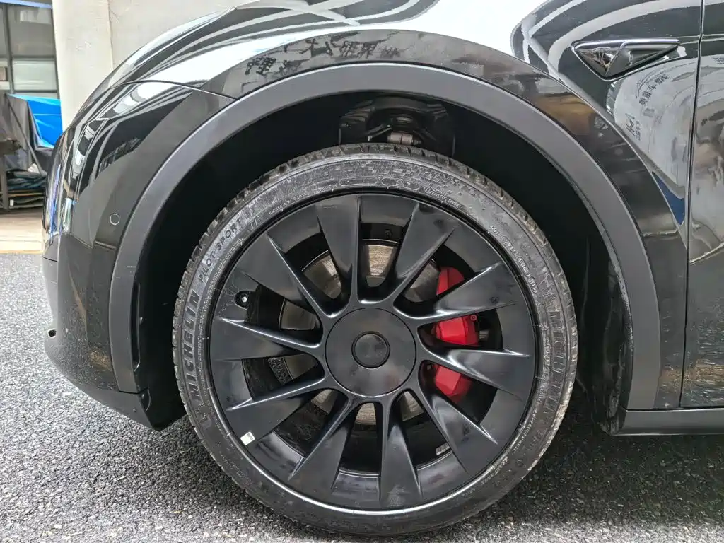 Tesla Model Y — миниатюра 6