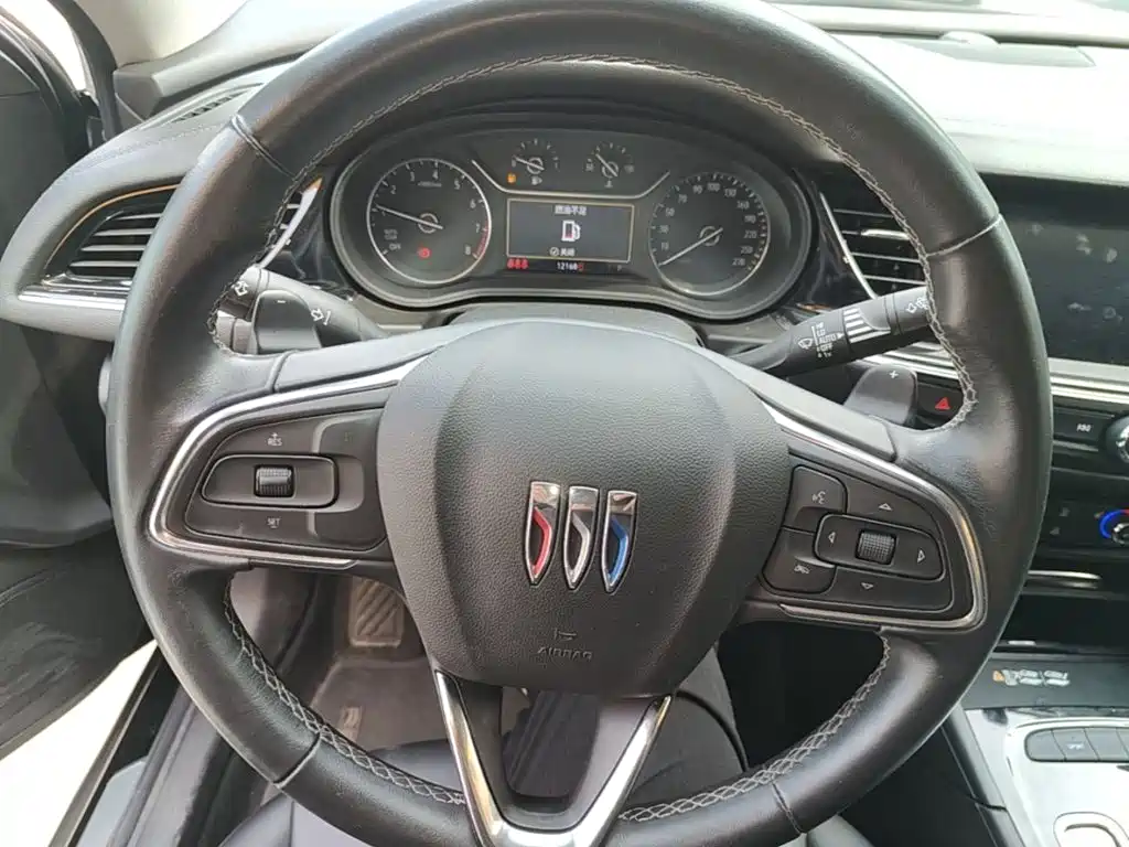 Buick Regal — миниатюра 11