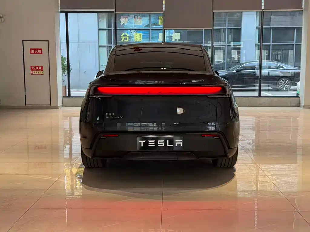 Tesla Model Y — миниатюра 5