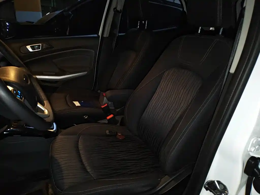 Ford Ecosport — миниатюра 8