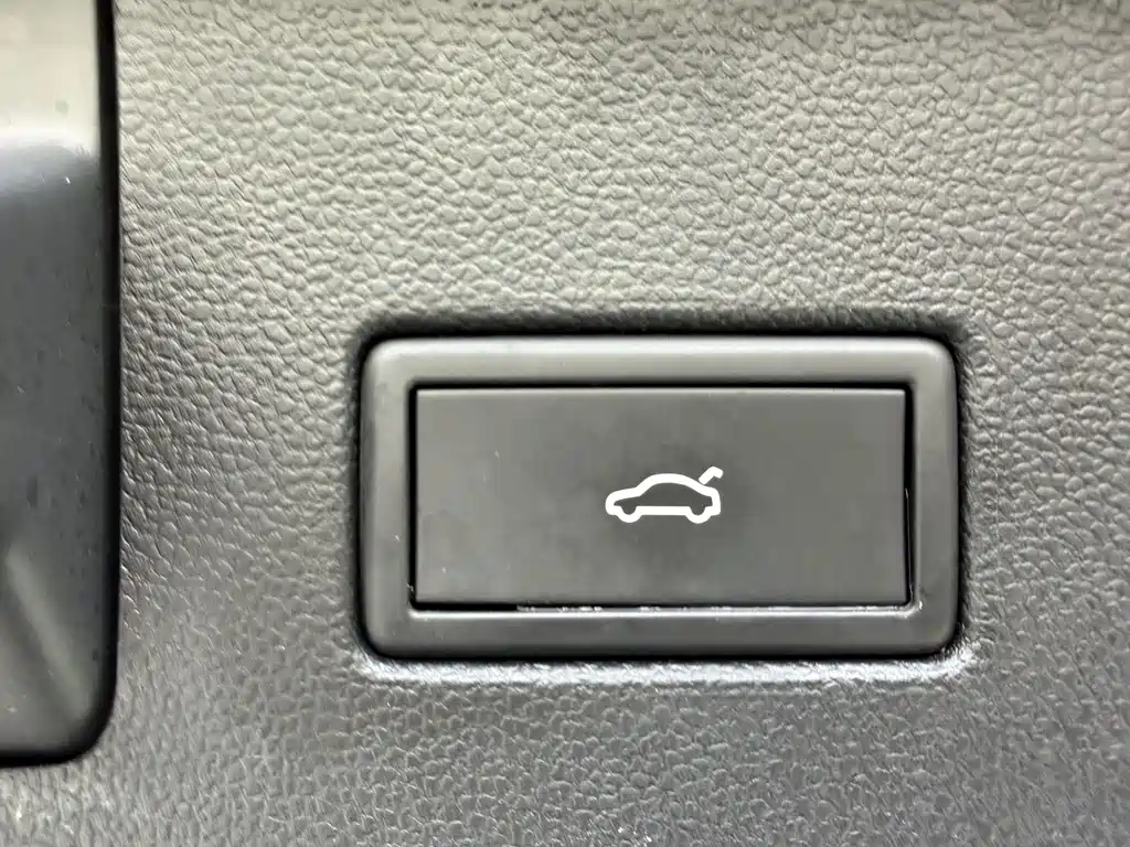 Volkswagen Lamando — миниатюра 12