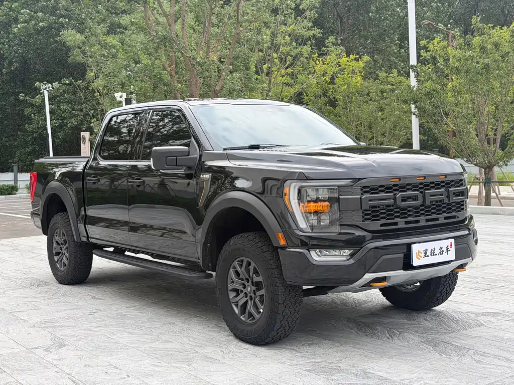 Ford F-150 Raptor — миниатюра 3