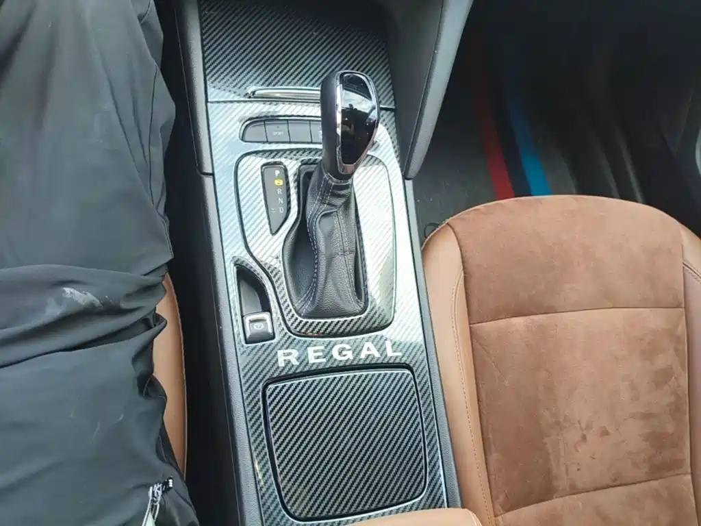Buick Regal — миниатюра 14