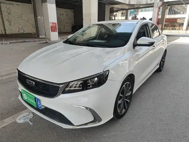 2021 Geely Binrui