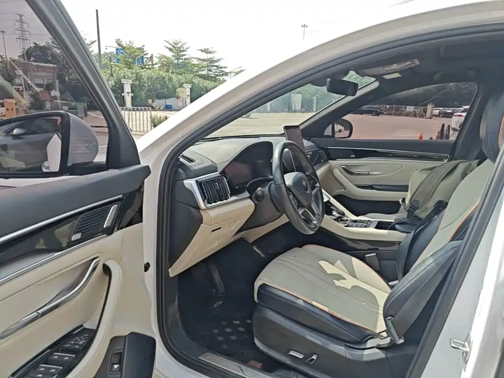 BYD PLUS New Energy — миниатюра 15