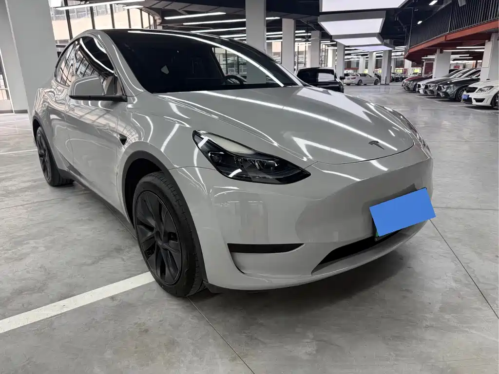 Tesla Model Y — миниатюра 3