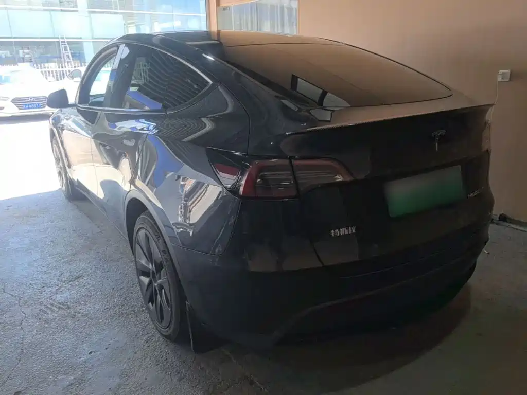 Tesla Model Y — миниатюра 5