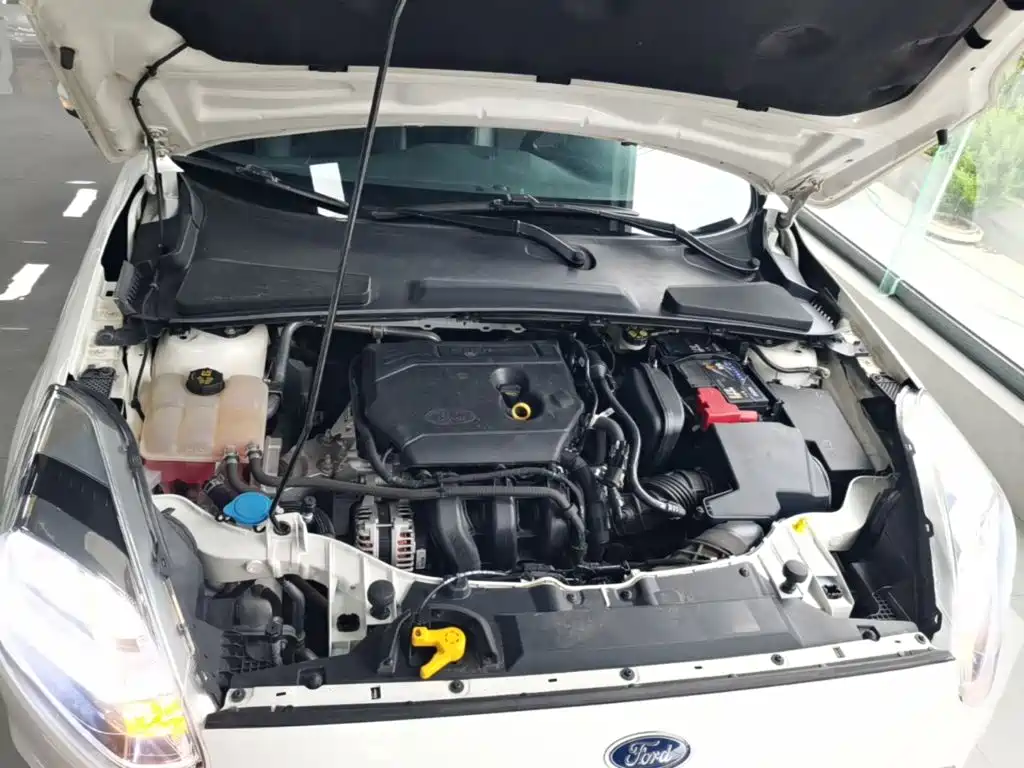 Ford Escort — миниатюра 20