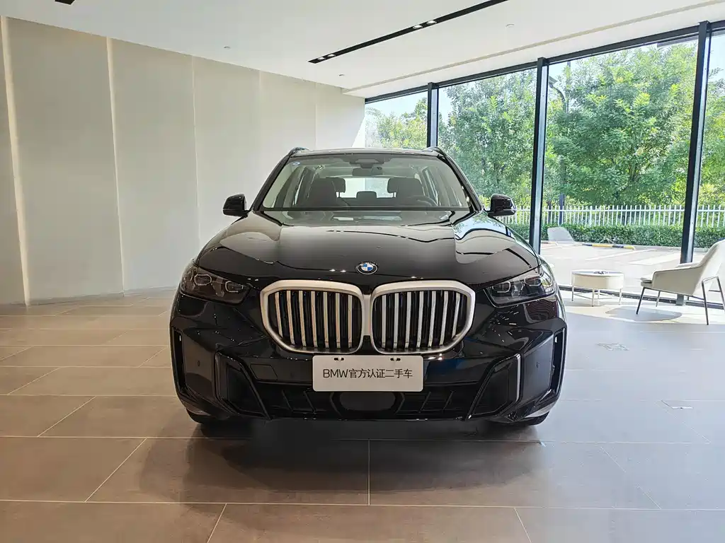 BMW X5 — миниатюра 2