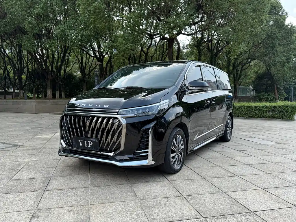 MAXUS G20 — миниатюра 3