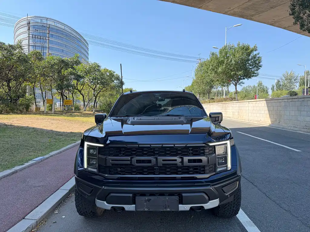 Ford F-150 Raptor — миниатюра 2