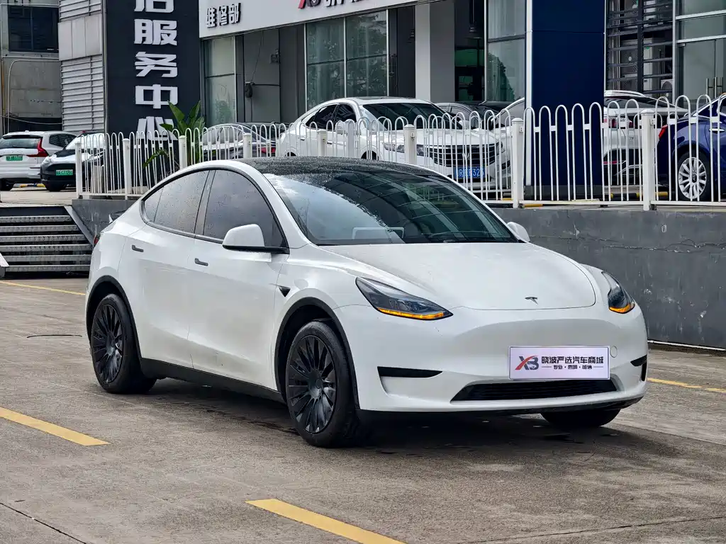 Tesla Model Y — миниатюра 4