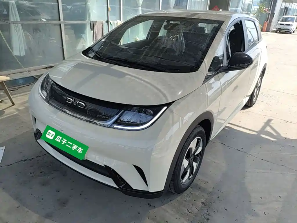 BYD Dolphin — миниатюра 2