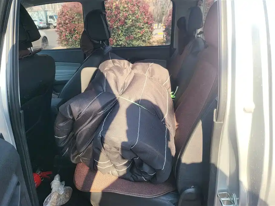 GREAT WALL FENGJUN 5