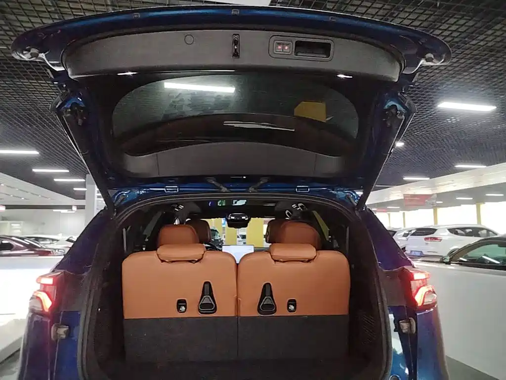 BYD Tang New Energy — миниатюра 19
