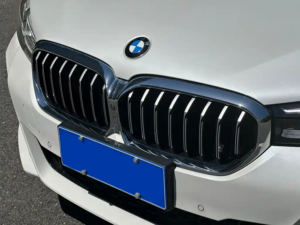 BMW 5 Series 5 2021 530Li Lead M Sport