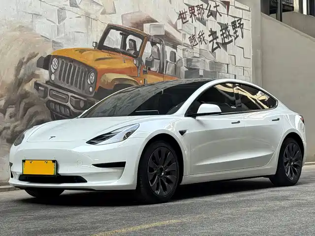 TESLA MODEL 3 2021