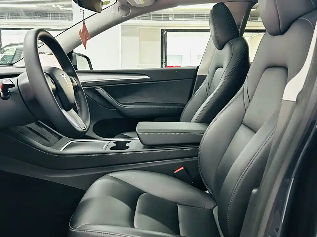 Tesla Model Y — миниатюра 10