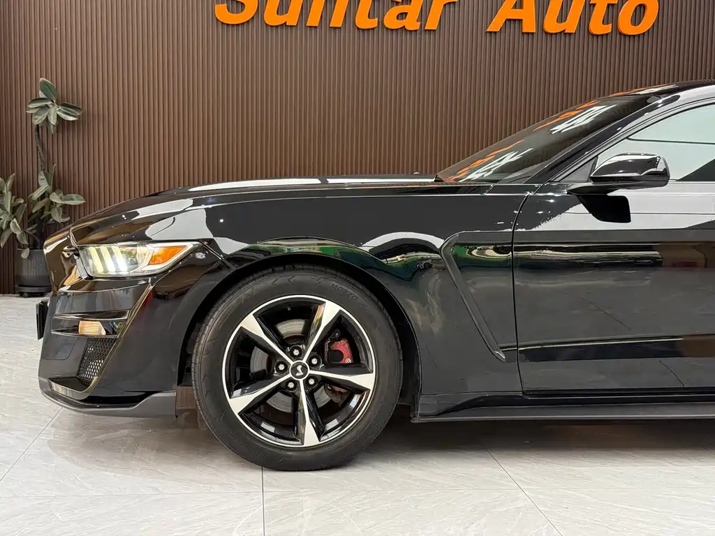 Ford Mustang — миниатюра 8