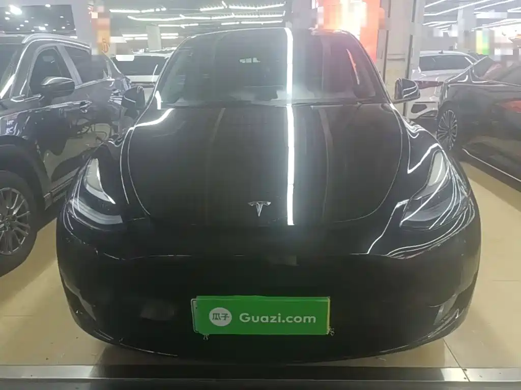Tesla Model Y — миниатюра 3