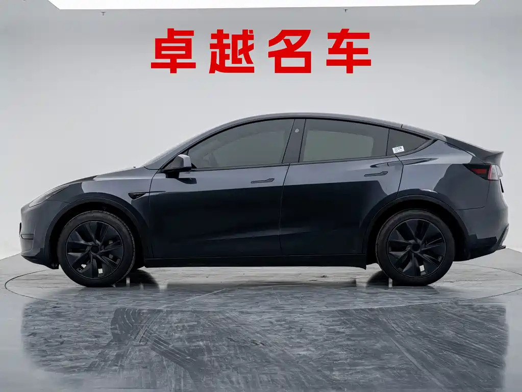 Tesla Model Y — миниатюра 7