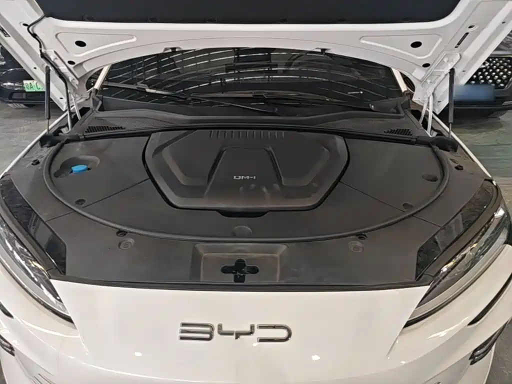 BYD PLUS New Energy — миниатюра 20