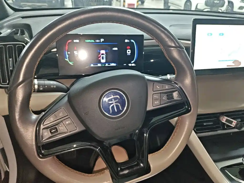 BYD Pro New Energy — миниатюра 11