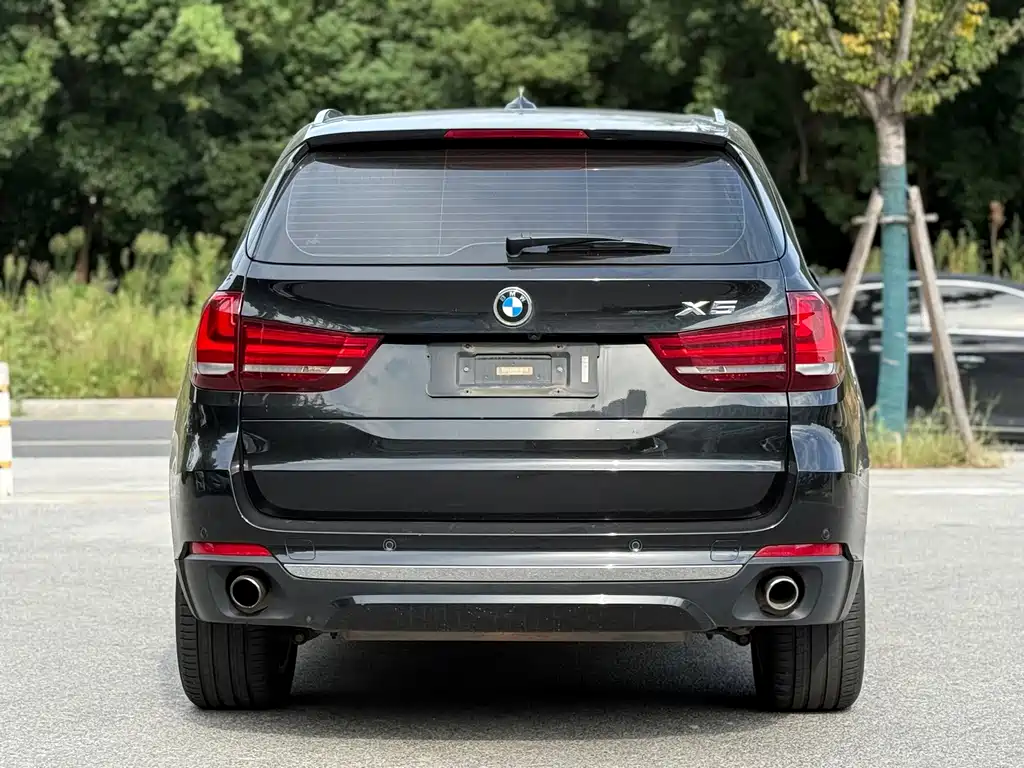 BMW X5 (Import) — миниатюра 5