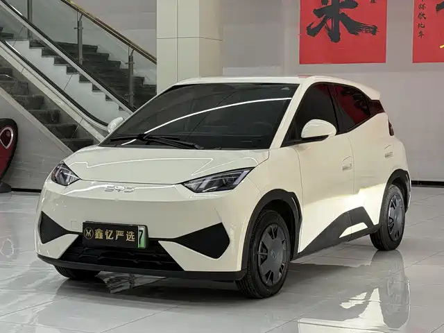 2025 BYD Seagull