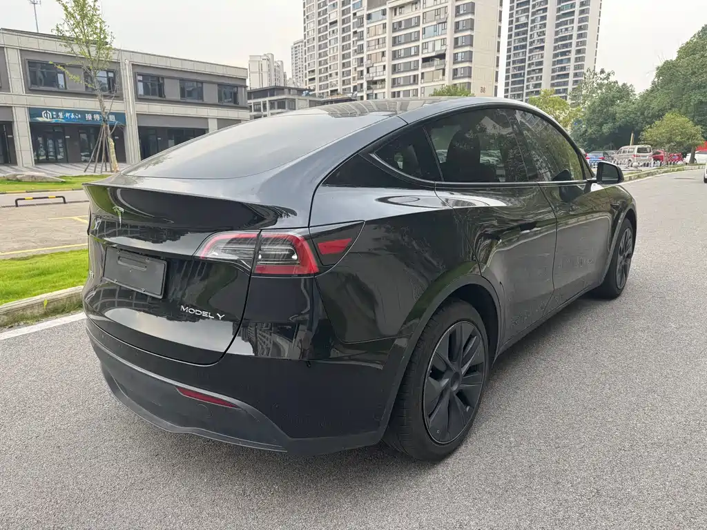 Tesla Model Y — миниатюра 4