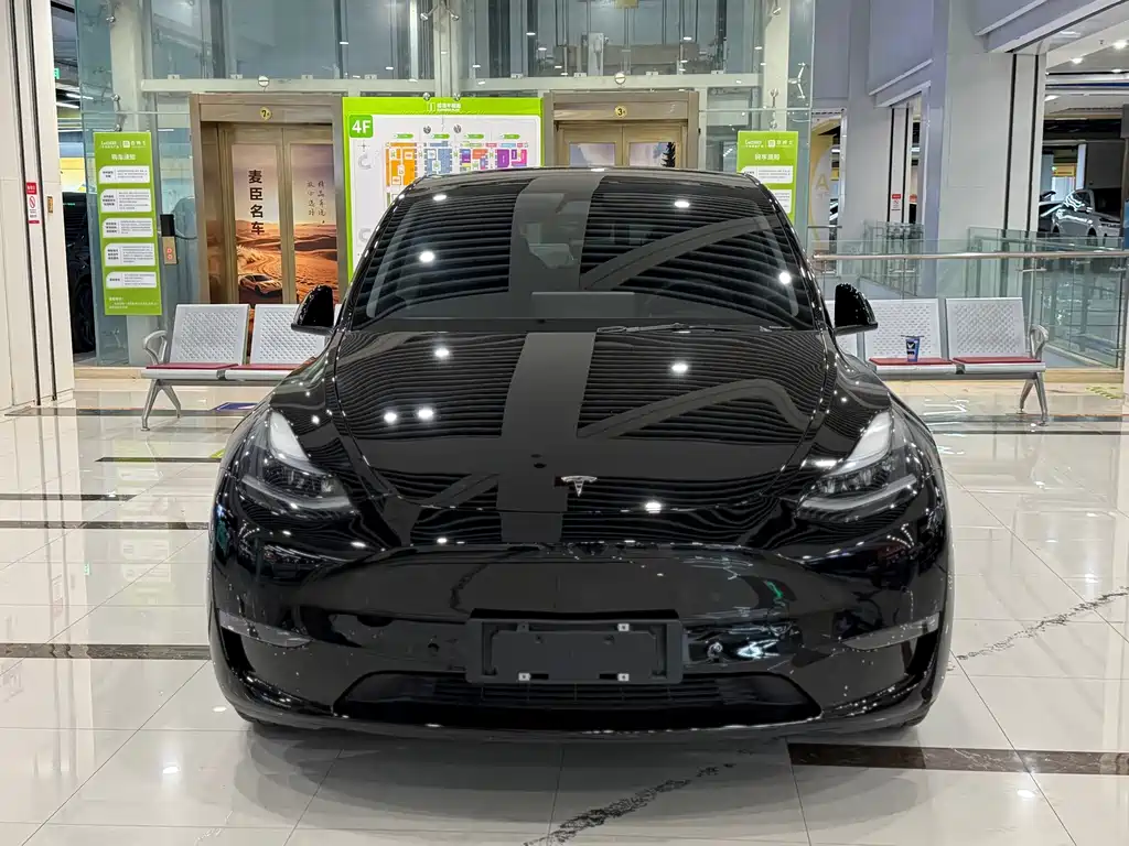 Tesla Model Y — миниатюра 2