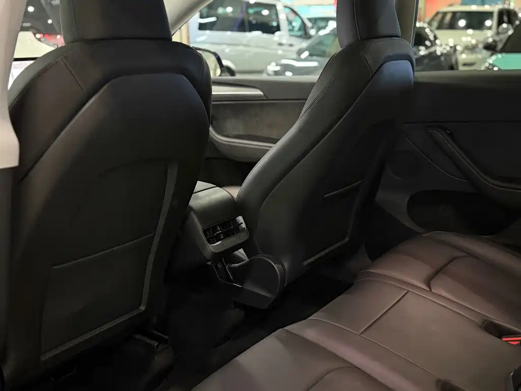 Tesla Model Y — миниатюра 5