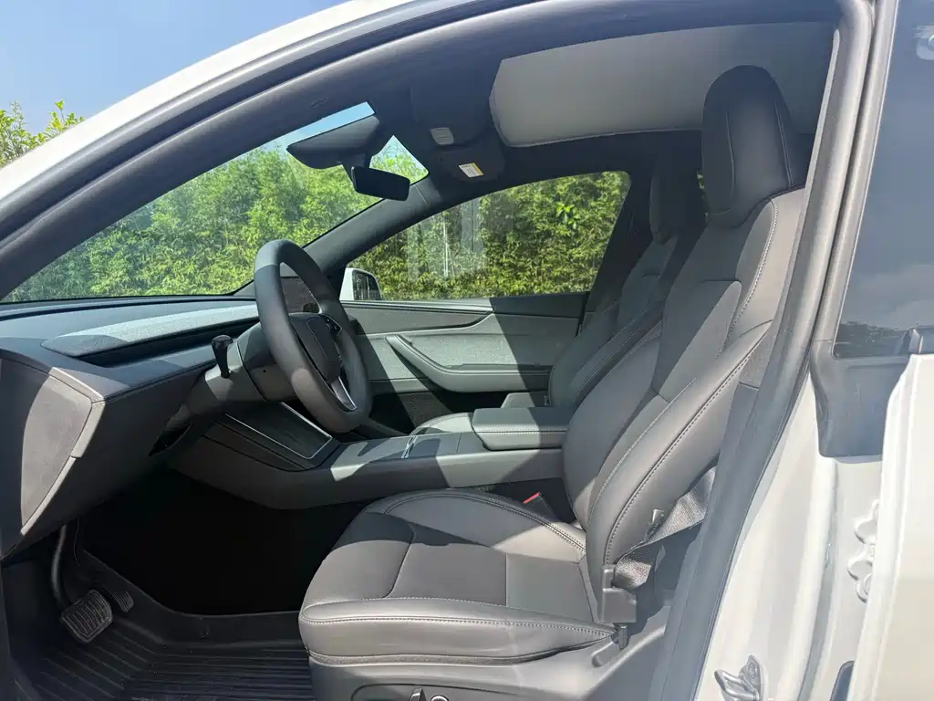 Tesla Model Y — миниатюра 4
