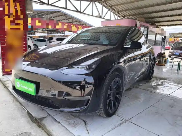 Tesla Model
