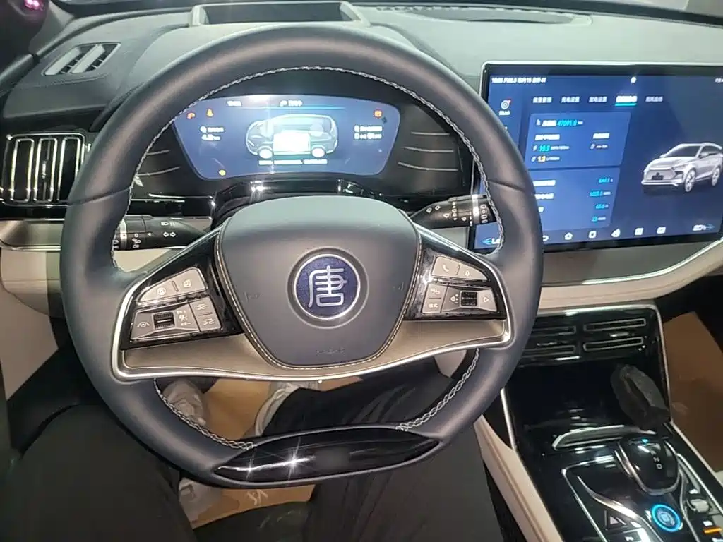 BYD Tang New Energy — миниатюра 11