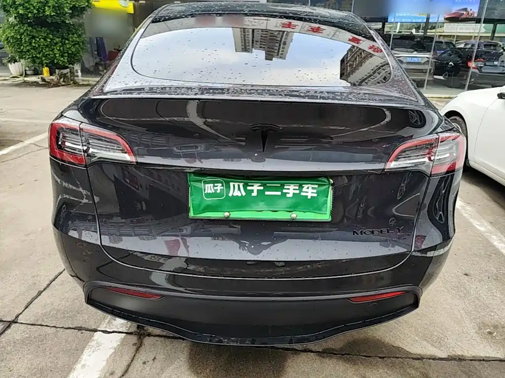 Tesla Model Y — миниатюра 6