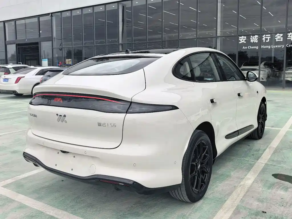 IM IM LS6 — миниатюра 4