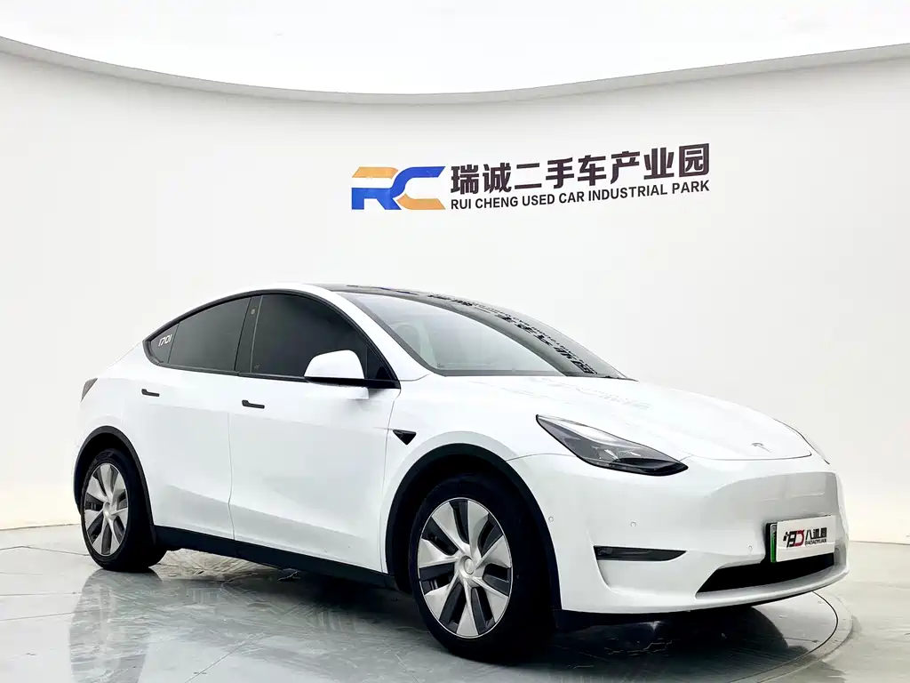Tesla Model Y — миниатюра 3