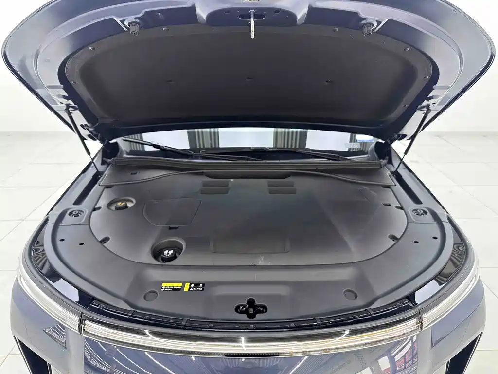 GAC Motor Trumpchi Xiangwang S9 — миниатюра 6