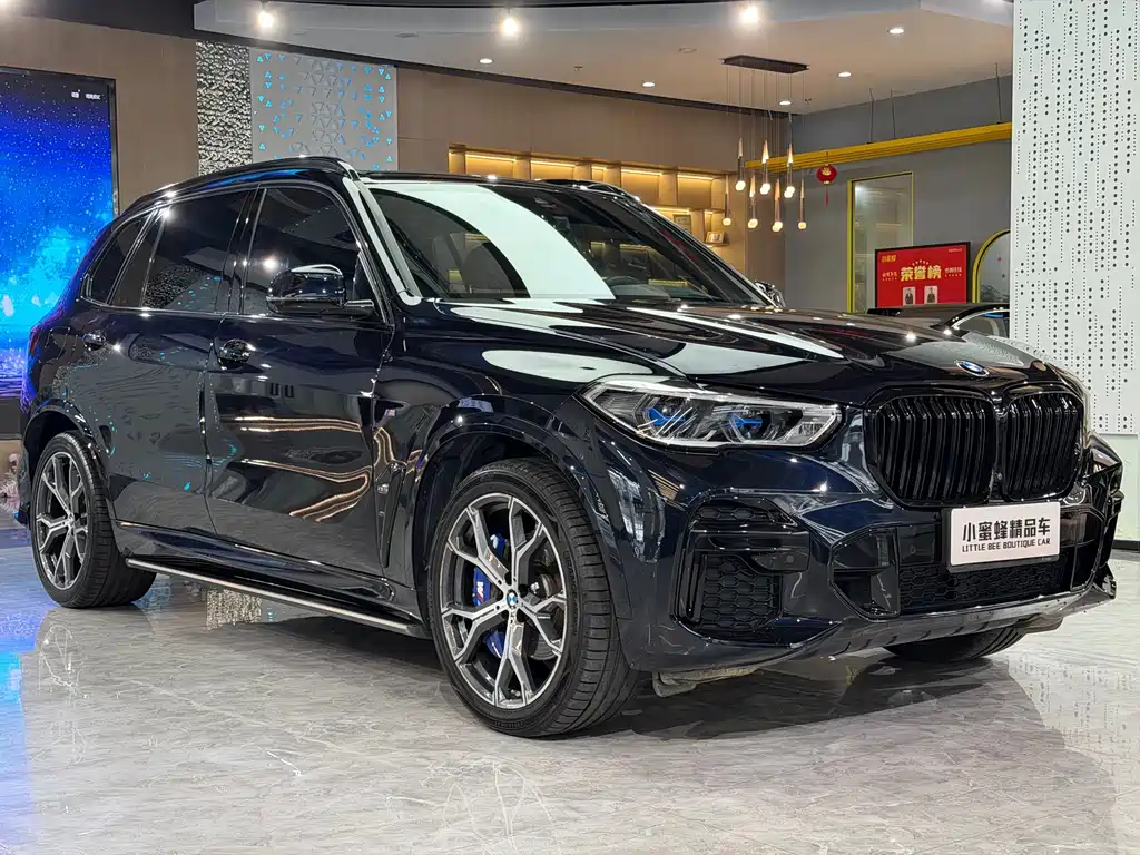 BMW X5 — миниатюра 3