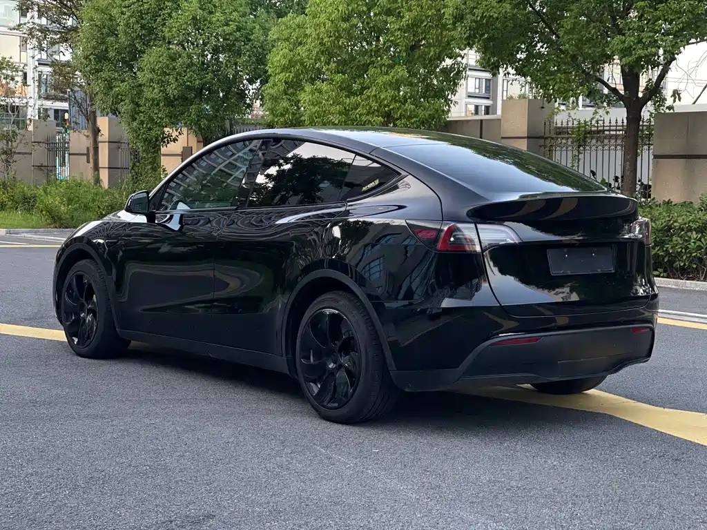 Tesla Model Y — миниатюра 6